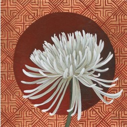 Morning Chrysanthemum III