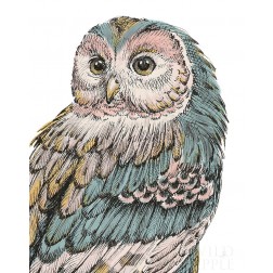 Beautiful Owls I Pastel