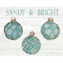 Coastal Holiday Ornament VIII Sandy and Bright