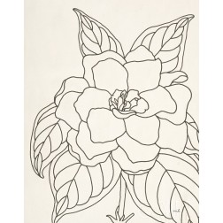 Gardenia Line Drawing Crop