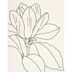 Magnolia Line Drawing v2 Crop