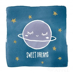 Night Sky Sweet Dreams