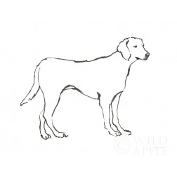 Ink Dog I