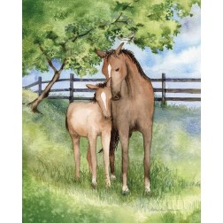 Farm Family Horses