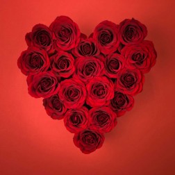 Rose flowers in heart shape