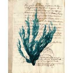 Vintage Teal Seaweed II