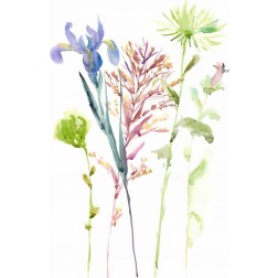 Watercolor Floral Study III