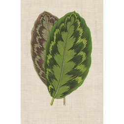 Leaves on Linen IV