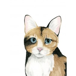 Cat Portrait II