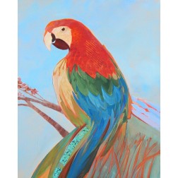 Parrot Wonder II