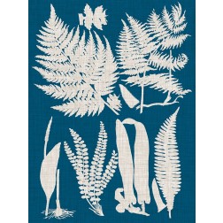 Linen and Blue Ferns I