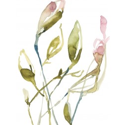 Blooming Stems I