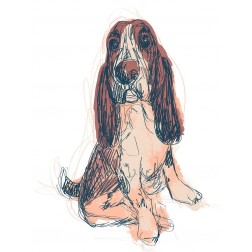 Dog Portrait--Ajax