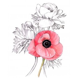 Anemone by Number I