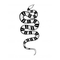 Epidaurus Snake IV