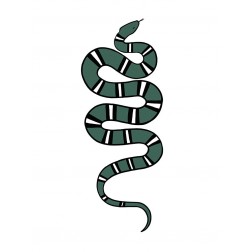 Epidaurus Snake V