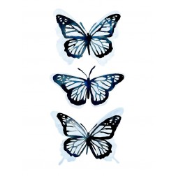 Blue Butterfly Trio I