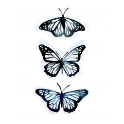 Blue Butterfly Trio II
