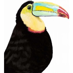 Watercolor Toucan