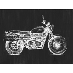 Motorcycle Graphic II