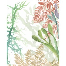 Woven Seaplants I