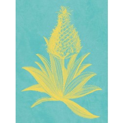 Pineapple Frais I