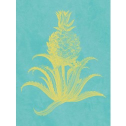 Pineapple Frais II