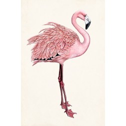 Striking Flamingo I