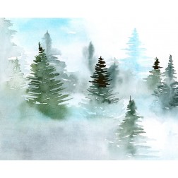 Foggy Evergreens II