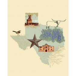 Illustrated State-Texas