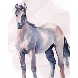 Horse in Watercolor II