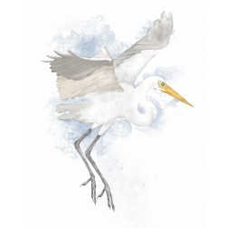 Coastal Heron II