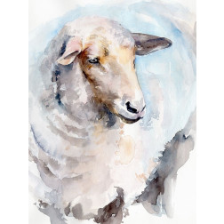 Watercolor Sheep I