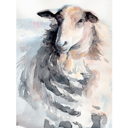 Watercolor Sheep II