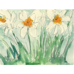 Daffodils Orange and White I