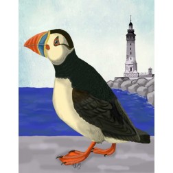 Puffin On the Quay