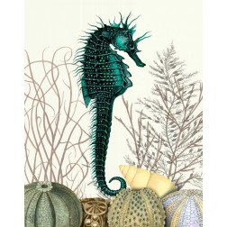 SeaHorse and Sea Urchins