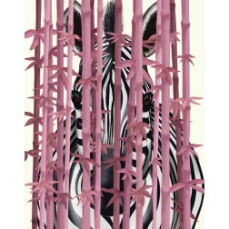 Pink Bamboo Zebra