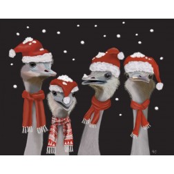 Ostrich, Christmas Gals
