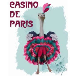 Ostrich, Can Can in Pink and Turquoise