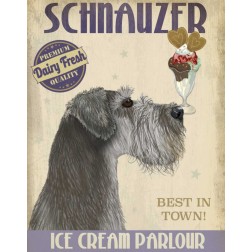 Schnauzer, Grey, Ice Cream