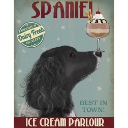 Springer Spaniel, Black, Bebe,Ice Cream