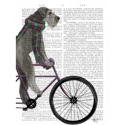Schnauzer on Bicycle, Grey
