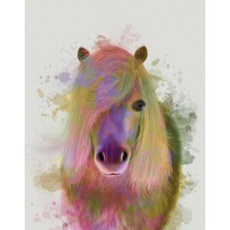 Pony 1 Portrait Rainbow Splash