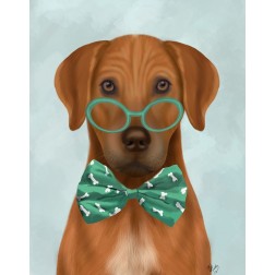 Rhodesian Ridgeback with Glasses and Bow Tie