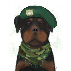 Rottweiler Military Dog
