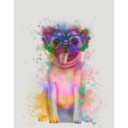 Pug Rainbow Splash