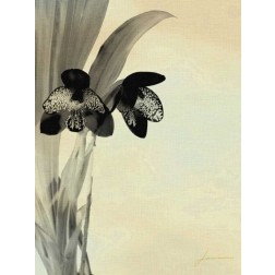 Orchid Blush Panels I