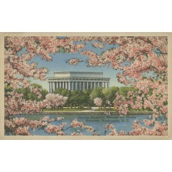 Lincoln Memorial and Cherry Blossoms