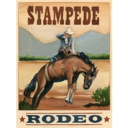 Stampede Rodeo 